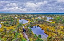 Great Ķemeri Bog and Swamp Forest Hiking Adventure