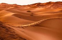 Abu Dhabi Evening Desert Safari with BBQ Dinner and Live Shows
