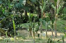 Botanical Garden Cartagena Private Tour with Bilingual Guide