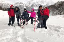 Day or Night White Experience with Snowmobile and Lunch