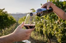 Half Day Wine Tour in Côtes de Provence 