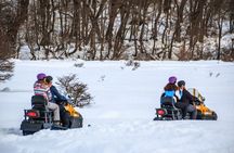 Day or Night White Experience with Snowmobile and Lunch