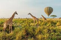 6 Days Tanzania Bush Experience Safari