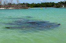 Beginner One Hour Guided Kayaking and SUP Activity