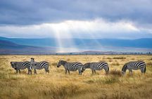 6 Days Tanzania Bush Experience Safari