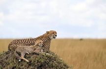 6 Days Tanzania Bush Experience Safari