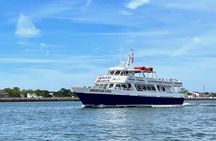 Whale Dolphin and Bird Watching Ecotour Cruise