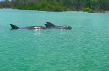 Bonita Springs Eco Kayak Tour – Best Gear, Premium&Clear Kayaks