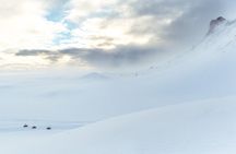 Into the Glacier Combo: Snowmobiling + Langjökull Ice Cave