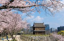 Fukuoka Private Customizable Full Day Tour