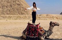 Private Tour in Giza Pyramids Sphinx with VIP Lunch