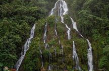 Tour to Santa Rosa de Cabal Coffee Farm and Hot Springs
