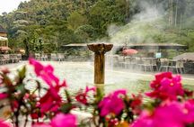 Tour to Santa Rosa de Cabal Coffee Farm and Hot Springs