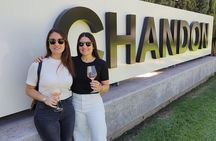 Wineries to Luján de Cuyo! Semi-private tours 