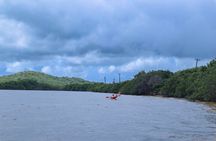 Clear Kayak Tour in Mangrove Antigua