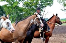 Gaucho Day Trip from Buenos Aires: Santa Susana Ranch