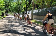 Bike & Boat Tour: Tigre and its Delta 