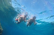 Ras Mohamed Full Day White Island on a yacht Sharm-el-Sheikh