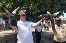 Highest Point Views & Historic Town - Amber Cove and Taino Bay