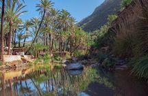 Half Day Tour to the paradise Valley From Agadir