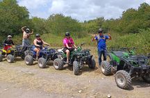 Cozumel Private Island Tour with ATV Adventure