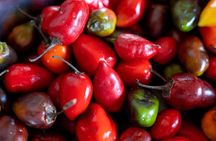 Cartagena Corner: The Street food and Hot Sauce Tasting
