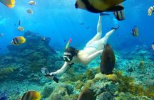 From Bali: Nusa Penida Snorkeling and Island Tour