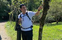 Combo 3 Best Tours In La Fortuna