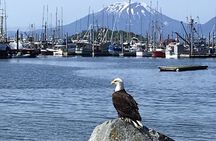 Sitka Sea Birds & Marine Life Private Charter Scenic Eco-Tour