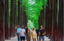 Eobi Ice Valley& Nami Island with Garden of Morning Calm Trip 