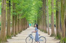 Nami Island, Petite France with Rail Bike Day Tour From Seoul