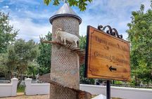  Experience 16 Wine Tasting & 6 Cheese Pairing across 3 Vineyards