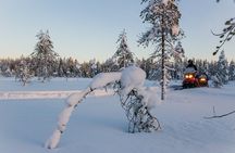 2-Hour Snowmobiling in Ylläs