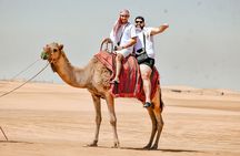 Dubai Morning Desert Safari, & Camel ride 