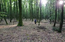 Private Guided Truffle Hunting Tour in Serbia with Lunch