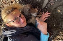 Private Guided Truffle Hunting Tour in Serbia with Lunch