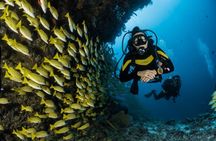 Hurghada Scuba Diving for Beginners Full-Day Adventure with Lunch