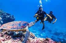 Hurghada Scuba Diving for Beginners Full-Day Adventure with Lunch