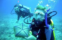 Diving Stops Full Day for Beginners with Lunch in Hurghada
