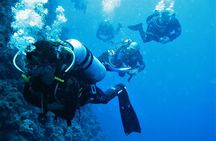 Hurghada Scuba Diving for Beginners Full-Day Adventure with Lunch