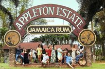 Appleton Estate Rum Tasting Experience
