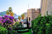 Peljesac Peninsula Food & Wine Small Group Tour from Split or Trogir