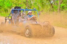 Buggy Ride Into the jungle with cave coffee & chocolate tasting
