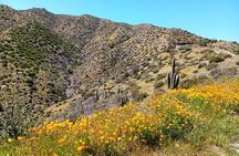 Historic 1880's Gold Mine Jeep Adventure near Scottsdale Phoenix