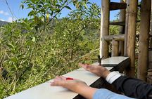 Mindo Cloud Forest Full-Day Tour from Quito with Lunch