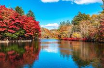Karuizawa, Kawagoe and Hashino Resort Shrine Day Tour from Tokyo