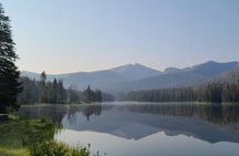 Private Winter Wildlife Tour and Wolves