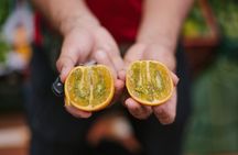 Exotic Fruits Tour