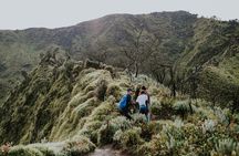 2 Days Tour to Mount Merbabu from Yogyakarta 