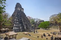 Day Trip to Tikal Maya Ruins Including Lunch